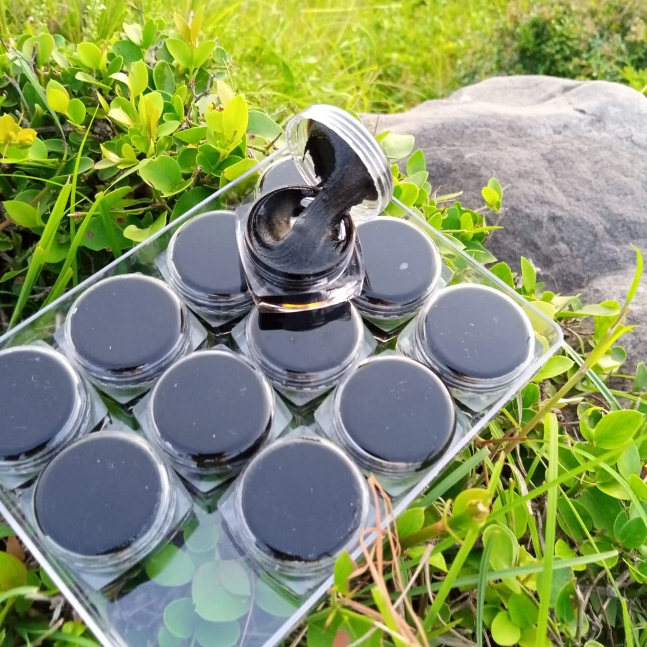 Close-up of dark, sticky Shilajit resin oozing from Himalayan rock crevices, glistening under sunlight.